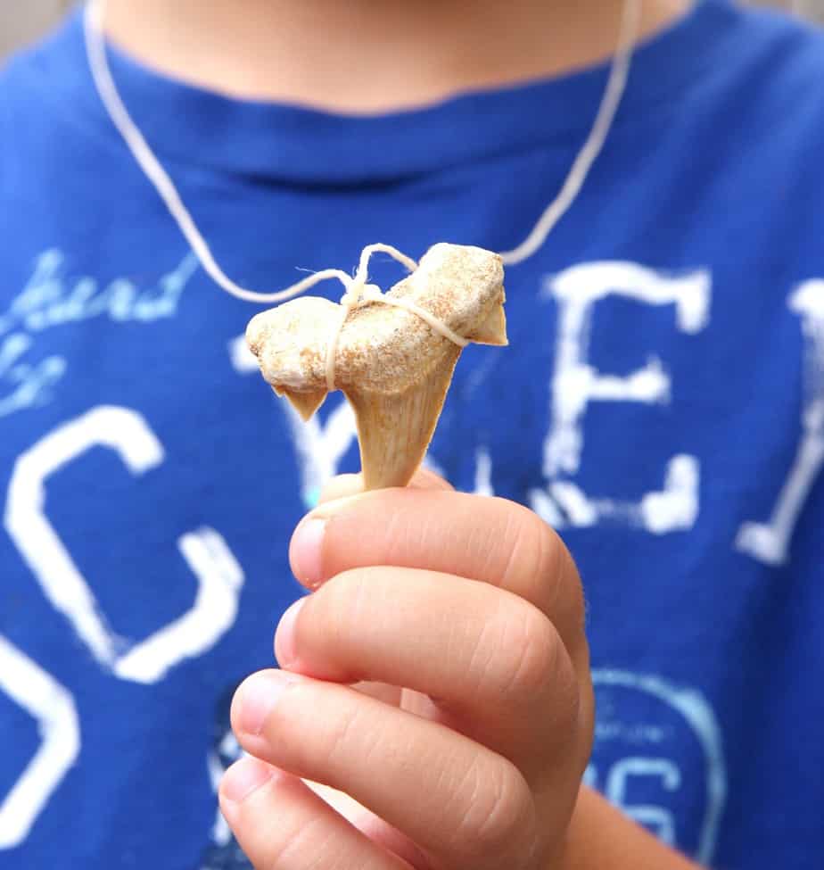 Shark Tooth Necklace Tutorial