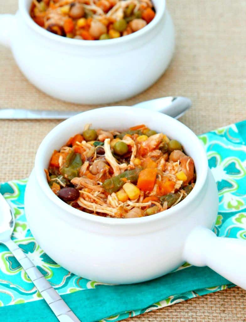 Chicken Stew in the Slow Cooker