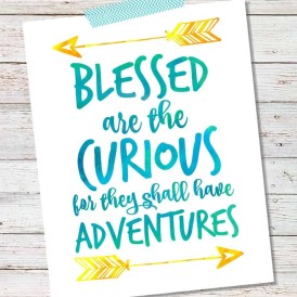 Blessed are the Curious for they shall have Adventures