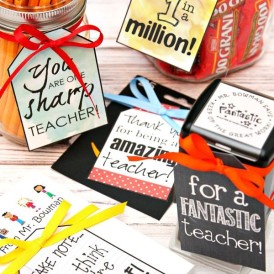 Teacher Appreciation Gifts - 5 Gift Ideas