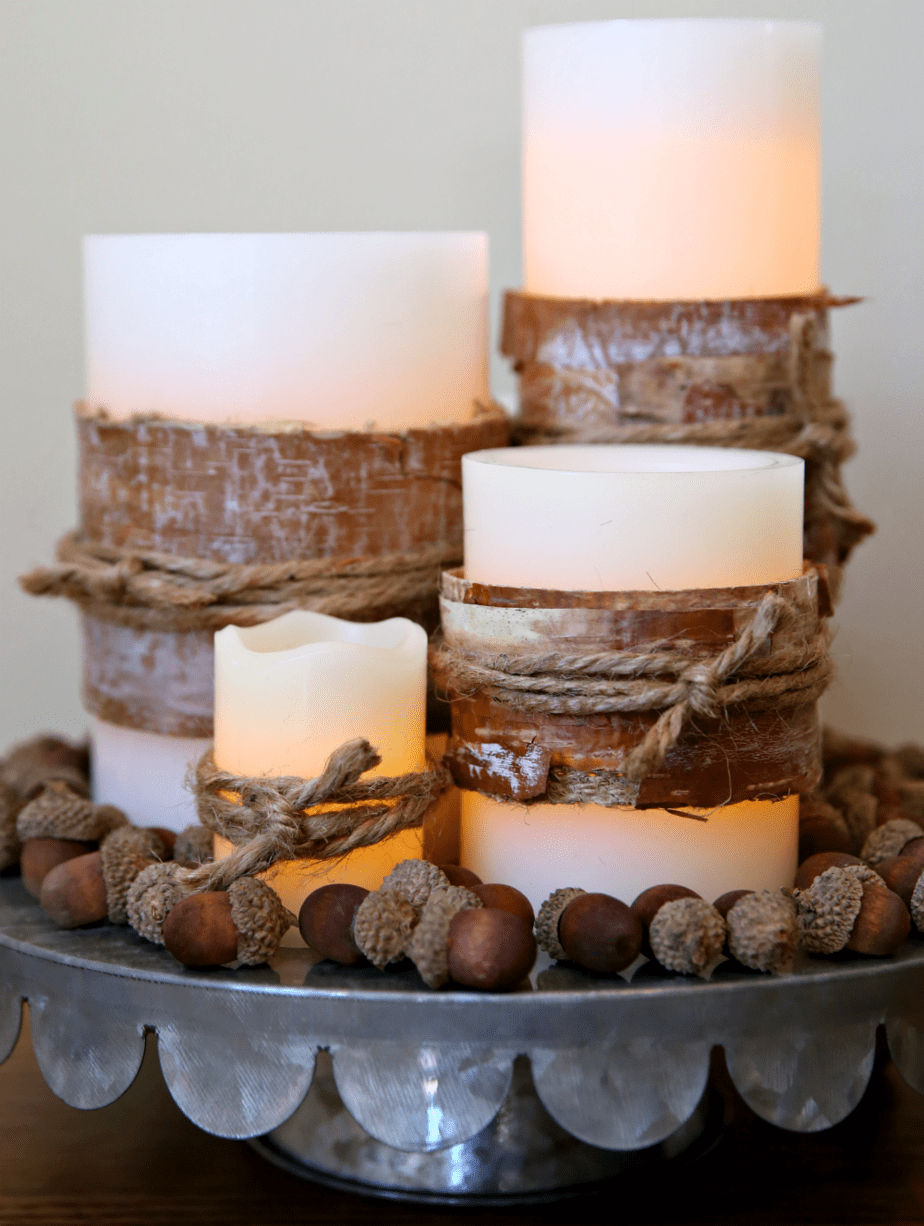 Rustic Fall Centerpiece with Bark Wrapped Candles