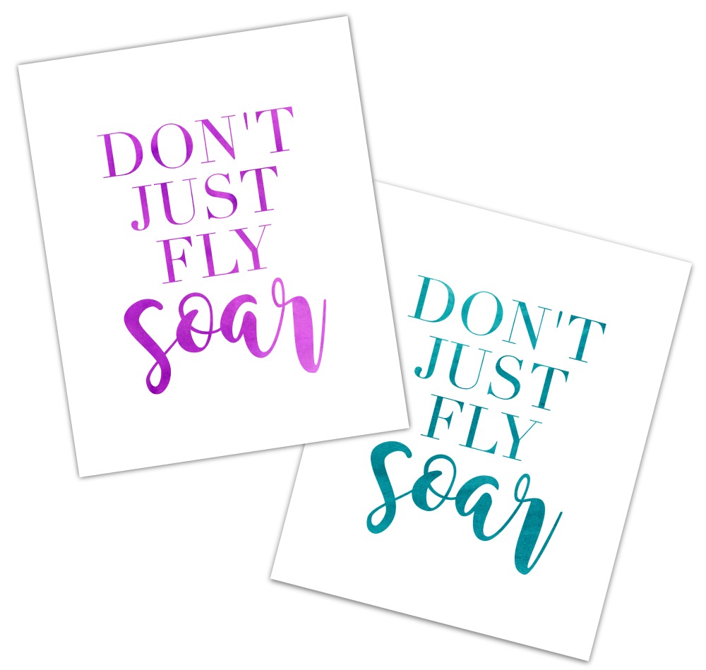 Don't Just Fly Soar FREE Printables