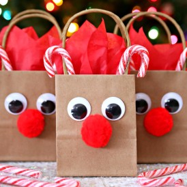 Reindeer Gift Bags - A festive holiday DIY gift bag.