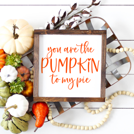 You are the Pumpkin to My Pie SVG Cut File