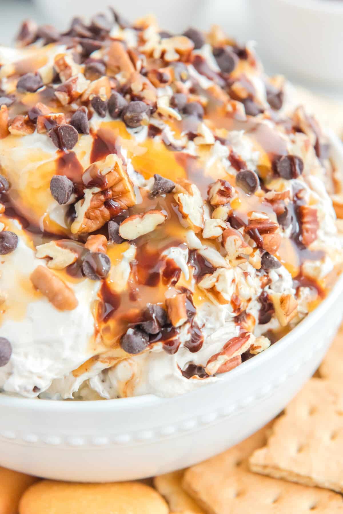 No bake turtle cheesecake dip garnished with caramel, chocolate chips, and pecans.