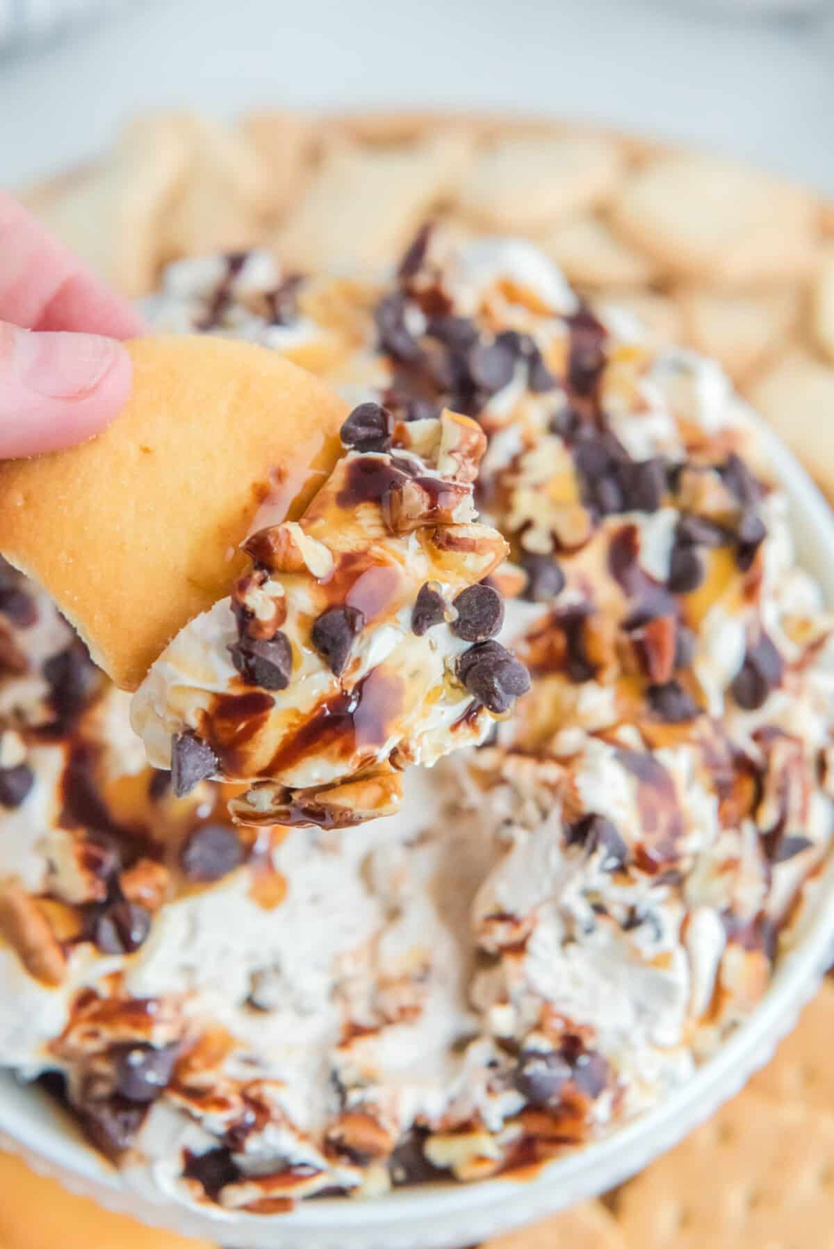 Decadent turtle cheesecake dip with swirls of caramel, chocolate, and pecans with vanilla wafer.